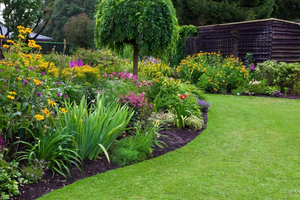 jardin